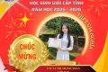 Học sinh đạt danh hiệu HSG cấp tỉnh năm học 2025 – 2026